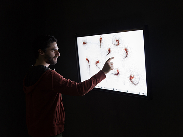 Tentasho User Interaction